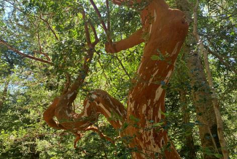 Foto noticia 19 octubre