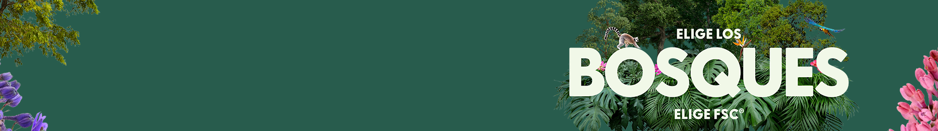 Forest Week